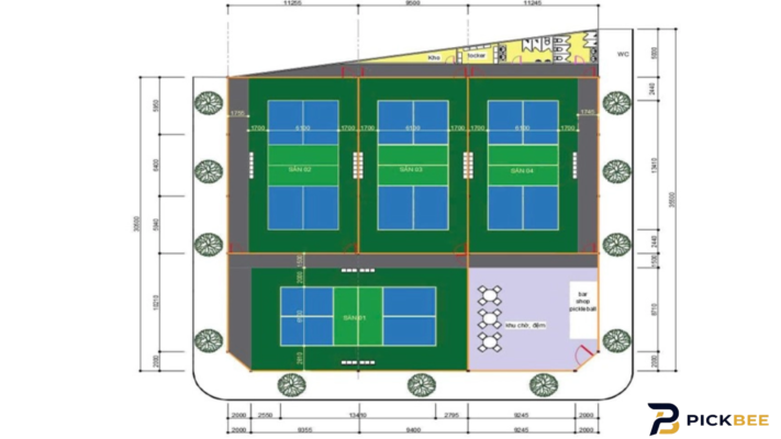 thiết kế sân pickleball đạt tiêu chuẩn