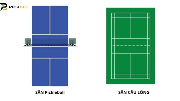 Pickleball khác cầu lông như thế nào qua sân và dụng cụ